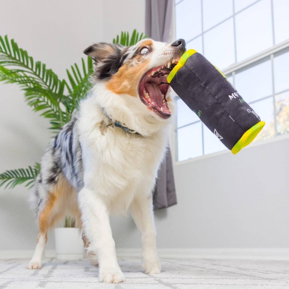 Huxley & Kent - Muttster Energy For Dogs: Small